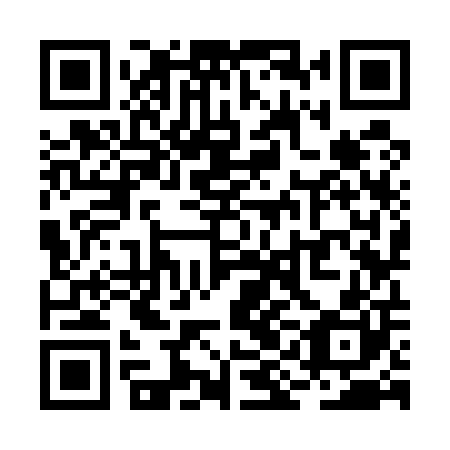 QR code for plate RIK 500