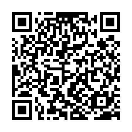 QR code for RIM 535