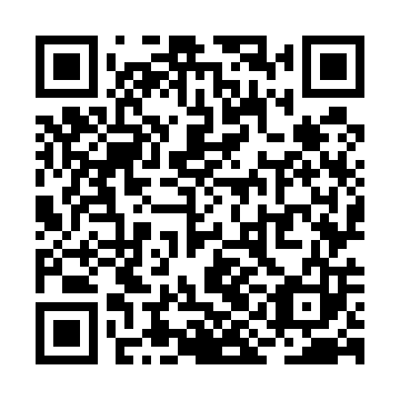 QR code for plate RIO 503