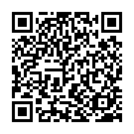 QR code for plate RIO 781