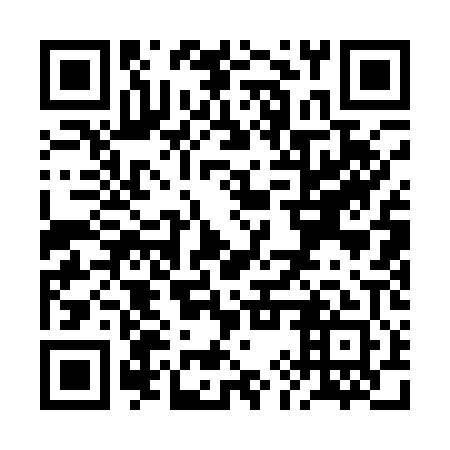 QR code for RIQ 101
