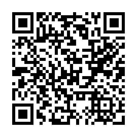 QR code for RIR 311