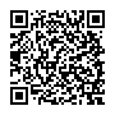 QR code for RIT 790