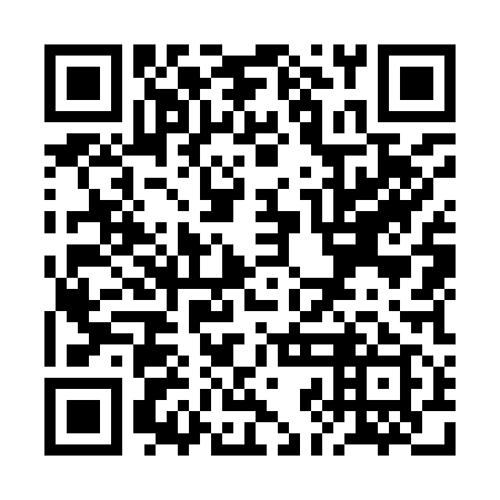 QR code for RJO 919