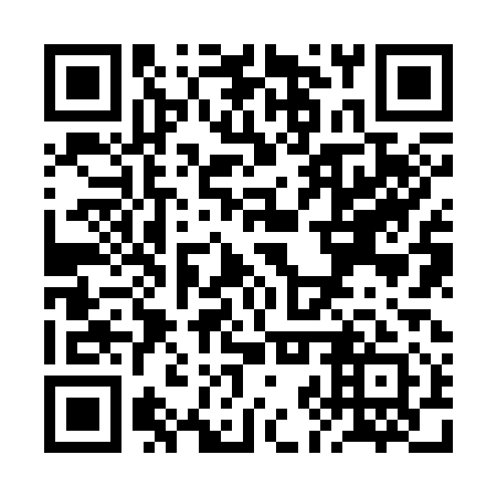 QR code for plate RJZ 311