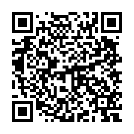 QR code for plate RJZ 413