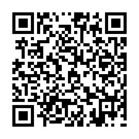 QR code for RKO 338