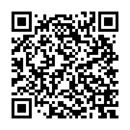 QR code for RLE 768