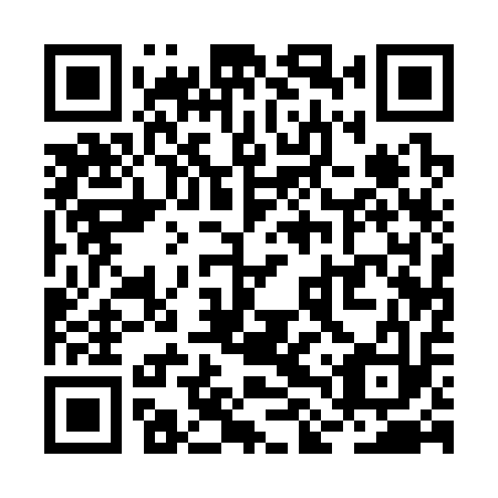QR code for RLQ 313