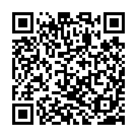 QR code for plate RLQ 691