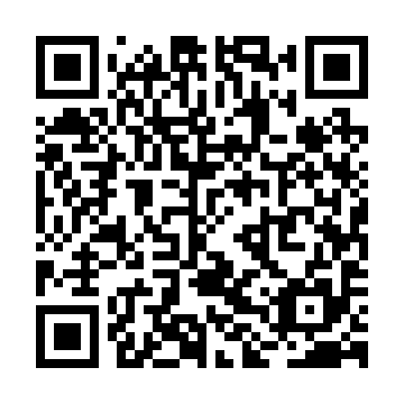 QR code for plate RLU 295