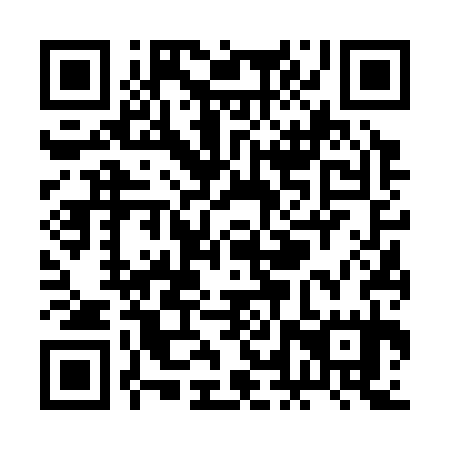 QR code for RLV 335