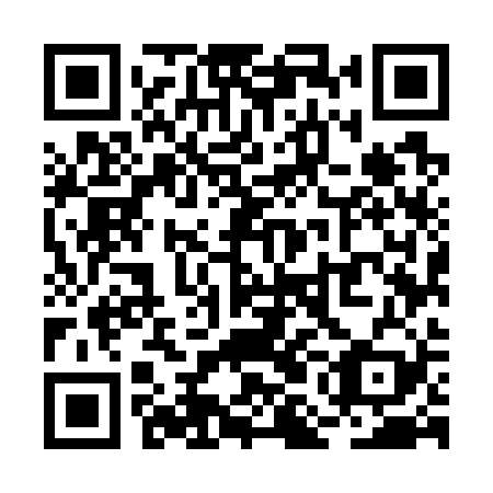 QR code for RMM 729