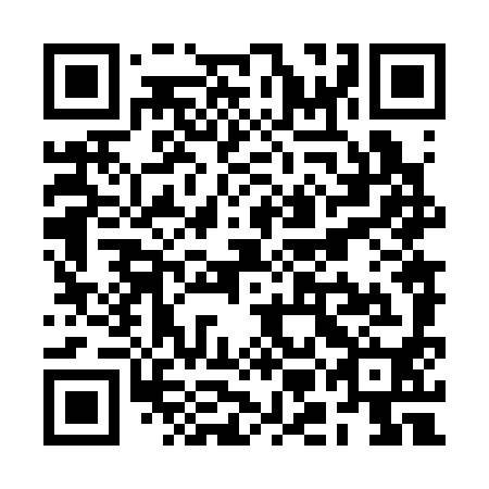 QR code for plate RMN 390