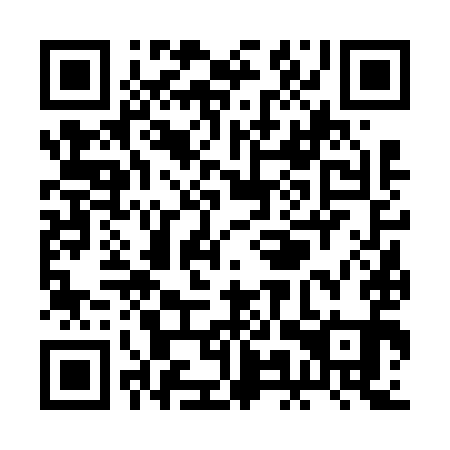 QR code for plate RMV 691