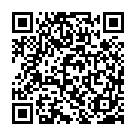 QR code for plate RMX 873
