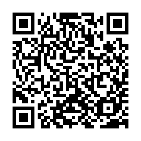 QR code for plate RNC 385
