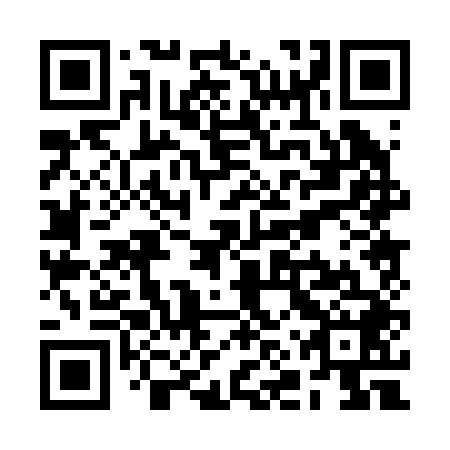 QR code for plate RNP 248