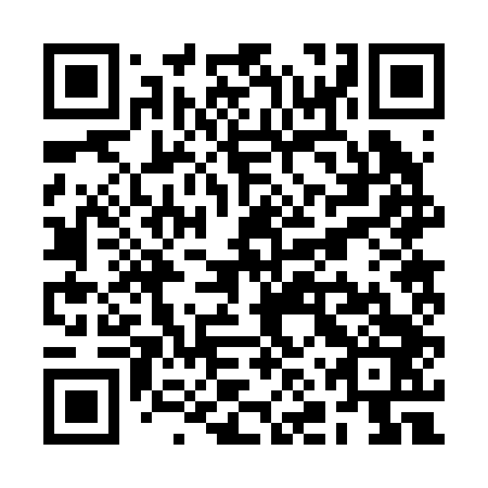 QR code for plate RNR 243