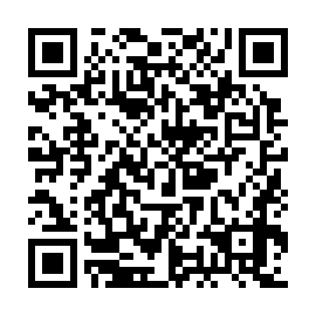 QR code for RON 378