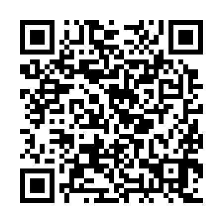 QR code for ROV 390