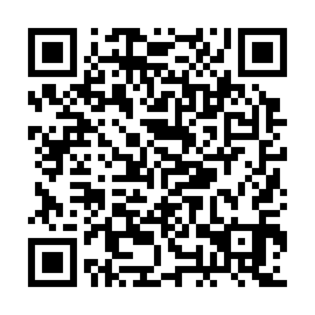 QR code for plate ROZ 311