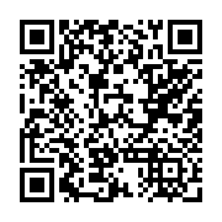 QR code for plate RPA 233
