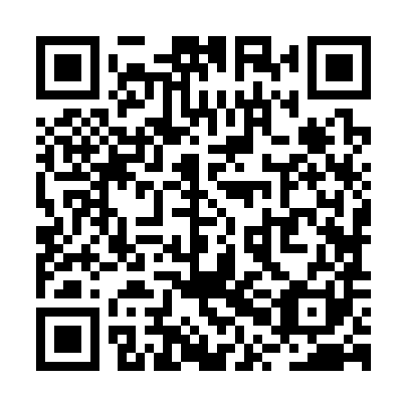 QR code for RPJ 381