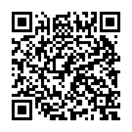 QR code for plate RPL 220