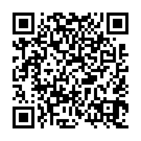 QR code for plate RPN 641