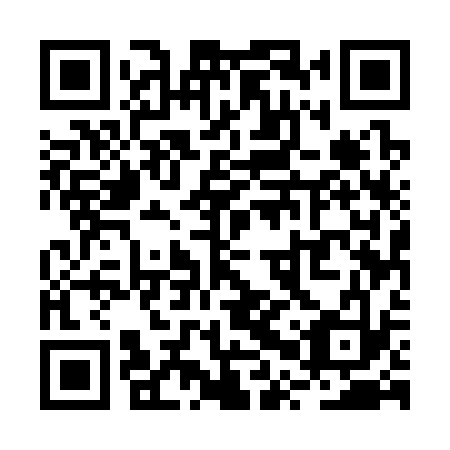 QR code for plate RPU 333