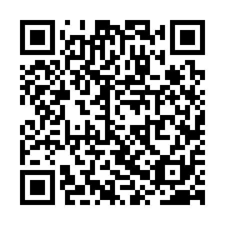 QR code for RPV311