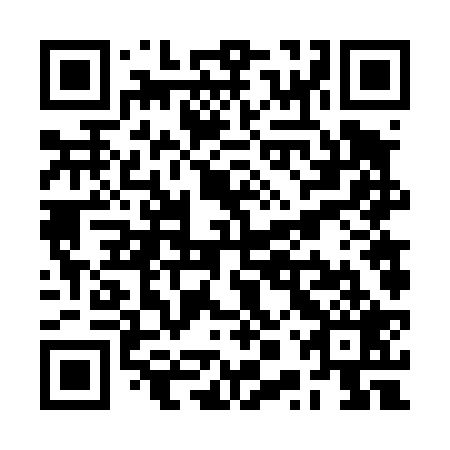 QR code for plate RPV 429