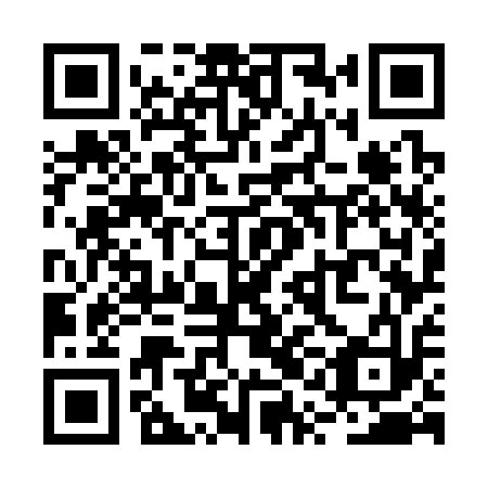 QR code for RQG 313