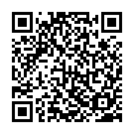 QR code for plate RRG 955