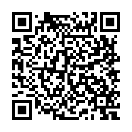 QR code for RSJ 917