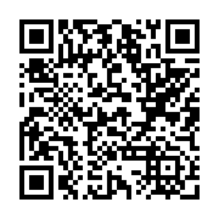QR code for plate RSO 653