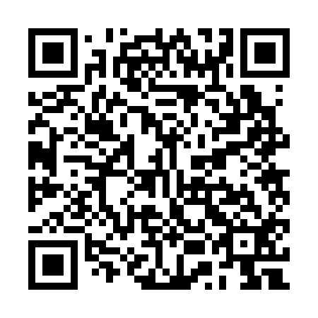 QR code for plate RUB 312