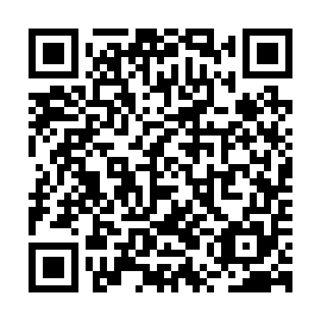 QR code for plate RUC 255