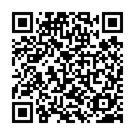 QR code for plate RUC 675