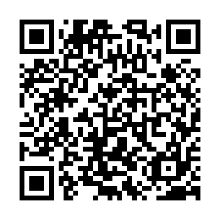 QR code for RUG 817
