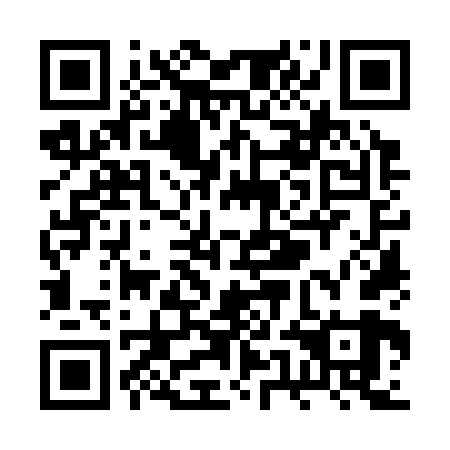 QR code for RUO 369