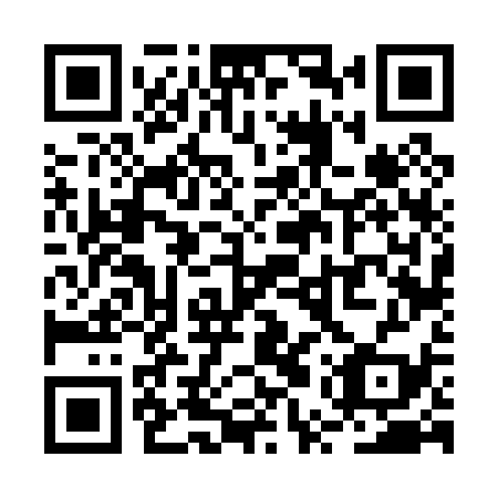 QR code for plate RUV 039