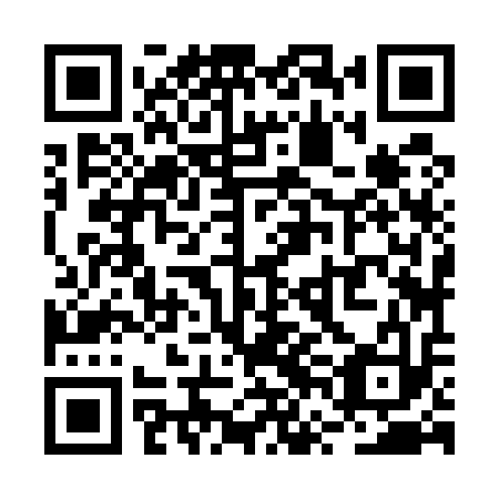 QR code for plate RVJ 513