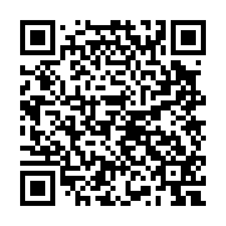 QR code for plate RVO 013