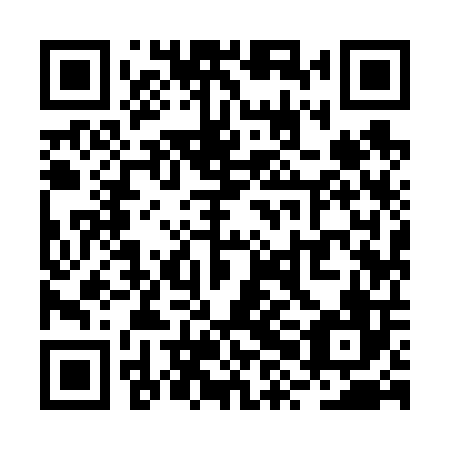 QR code for plate RXI 606