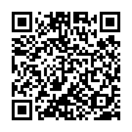QR code for plate RXM 699