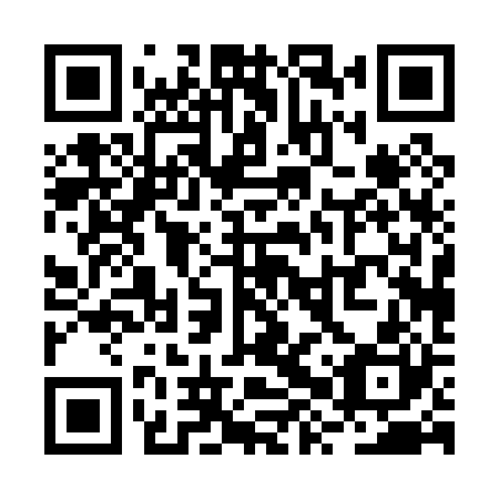 QR code for plate RXP 020