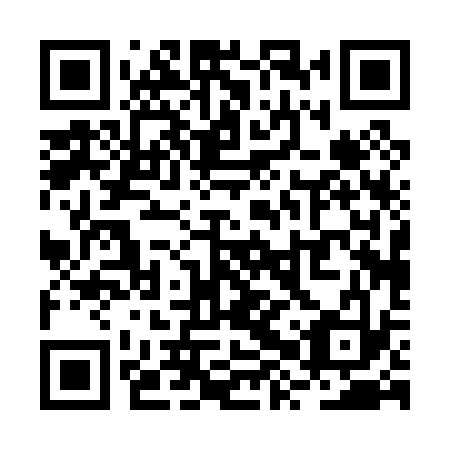 QR code for plate RXP 033