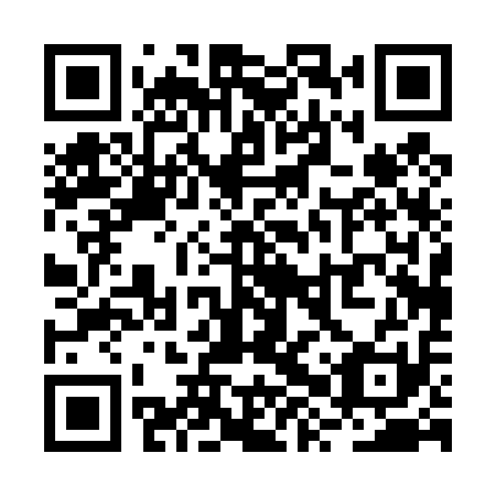 QR code for plate RXP 411